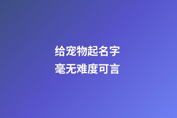 给宠物起名字 毫无难度可言